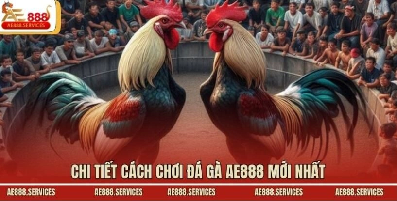 Chi tiết cách chơi đá gà AE888 mới nhất