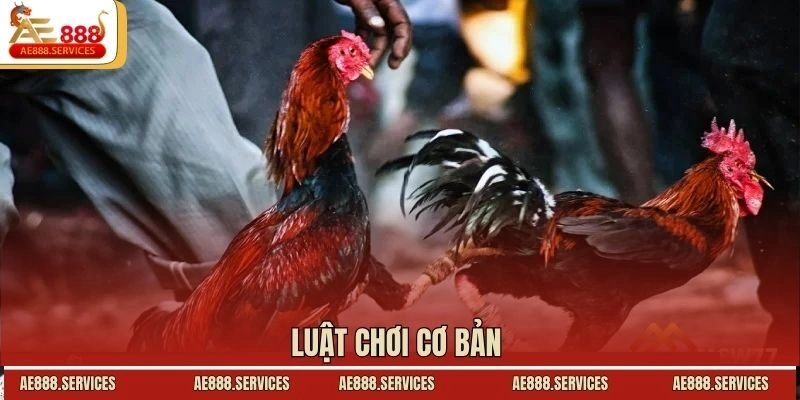 Luật chơi cơ bản